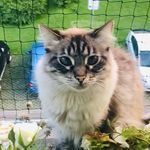 Michael Tschudin - @michaeltschudin - Instagram