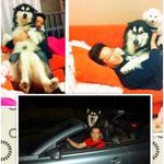 Michael Tsoi - @michael.tsoi - Instagram