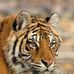 Michael TUD - Facebook