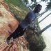 Michael Tegman - Facebook