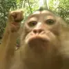 michael dimatulak - @michaeldimatulak - TikTok