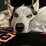 Michael Tulensa - @michaeltulensa - Instagram