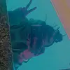 Michael_TuRan - @michael_turan - TikTok