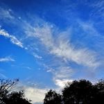 Michael Turvey - @introspectionear - Instagram