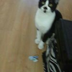 @michael_turvey - Instagram