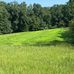 Michael D. Burrow, Tutt Land Company - Facebook