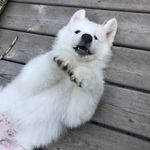 Michael Tutt - @tutt4427 - Instagram