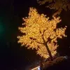Michael Ulwelling - @michaelulwelling - TikTok