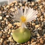 @michael_nursery - Instagram