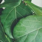 @michaels_nursery - Instagram