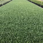 Michaels Nursery - @michaelsnursery - Instagram