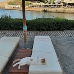 Michael Usher - @michaelusher45 - Instagram