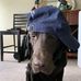 Michael Vacha - Facebook