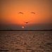 Michael Van Brocklin - Facebook