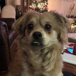 Michael Vandergrift - @michael.vandergrift.68 - Instagram