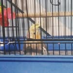 michael vanderhoef - @birdboo2019 - Instagram