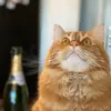 Michael Van Gorder - @michaelvangorder - TikTok