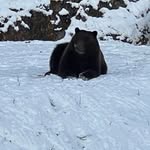 Michael Vanier - @vaniermichael - Instagram