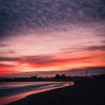 Michael Van Ness - @michaelvan_ness - Instagram