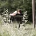 Michael VanWinkle - Facebook