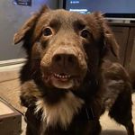 Michael VanWormer - @vanwormer.michael - Instagram