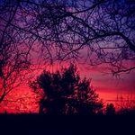 Michael Vargo - @mtvargo - Instagram