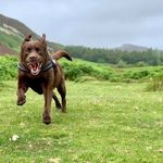 Michael Varley - @michael.varley.75 - Instagram