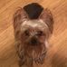 Mike Varnell - Facebook