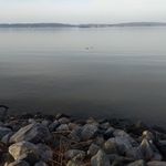 Michael Varner - @michaelvarner03 - Instagram