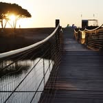 Michael Väth - @seibermaxx - Instagram