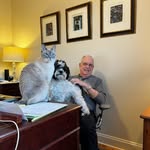 Michael Veatch - @comdytrd - Instagram