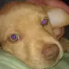 Michael Vecchio - @michael.vecchio94 - TikTok