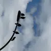 Scott - @michael_vecchio - TikTok