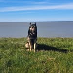 Mike Veenstra - @michael.veenstra.58 - Instagram