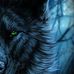 Micheal Veldman - Facebook