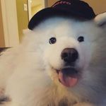 Michael Venner - @mike_venner - Instagram