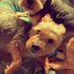 Michael Venner - Facebook