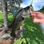 Michael Venuto75 - @michaelvenuto75 - Instagram