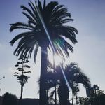 Michael Verdin - @verdin_michael - Instagram