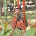 Michael Vergara - Facebook