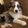 Michael Vertrees781 - @michaelvertrees78 - TikTok