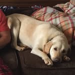 Michael Vertrees - @vertreesmichael - Instagram