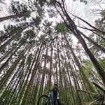 Michael Viani - @michael.viani.1 - Instagram