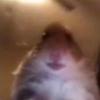 user3702308386595 - @michael.vickers - TikTok