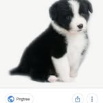 Michel Vigneron - @michel.vigneron.35 - Instagram