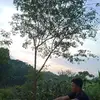 Michael Villarin - @michaelvillarin1 - TikTok