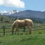 Michael Vohs - @michaelvohs1958 - Instagram