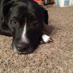 Michael Juel Vroman - @_michael_vroman_kya_is_awesome - Instagram