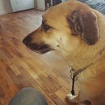 michaelvroman - @michaelvroman2005 - Instagram