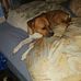 Michael Wacker - Facebook